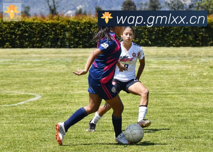 爱游戏体育app官网入口荣誉