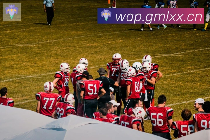 爱游戏体育app官网入口荣誉